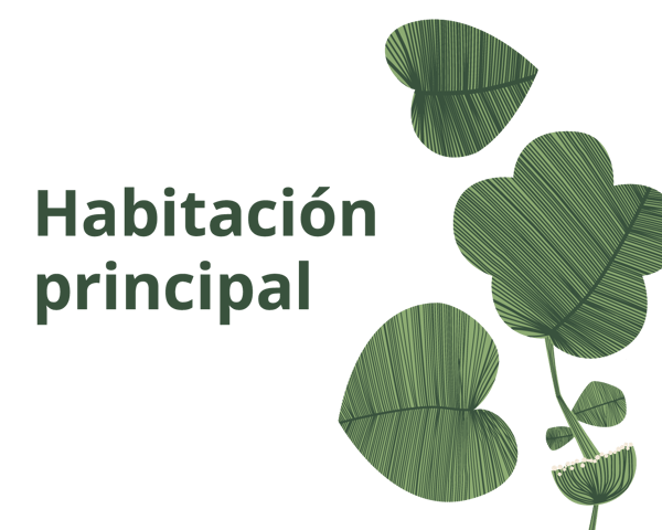 Imagen blanca con diseño verde con texto 