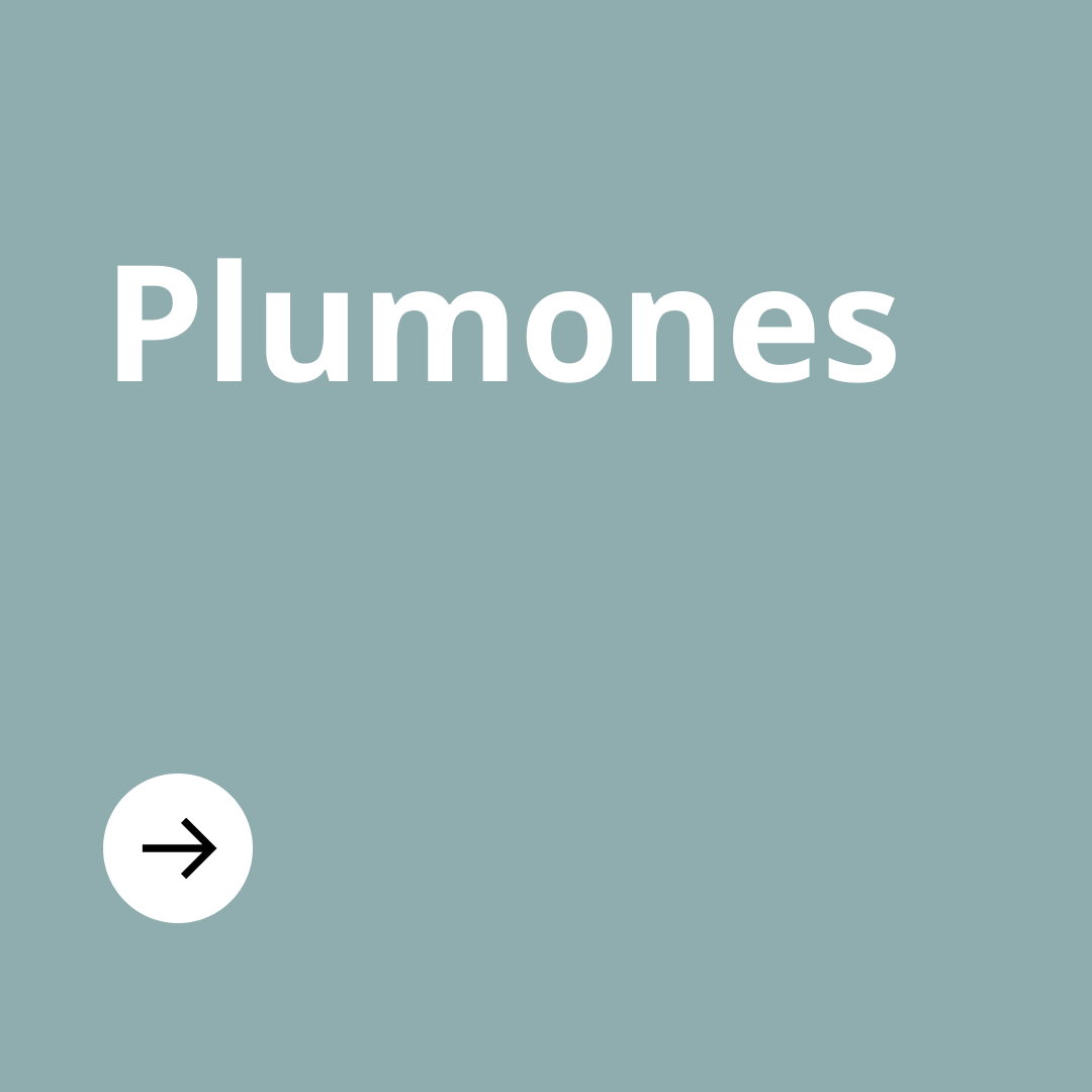 Imagen celeste con texto "plumones" en blanco y en la parte inferior de la imagen un círculo con una flecha negra.