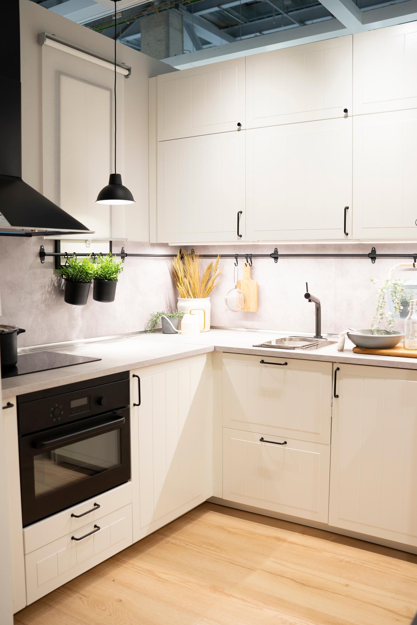 Imagen de la cocina dentro del contenedor de transporte, con almacenamiento vertical en la pared y plantas artificales para decorar