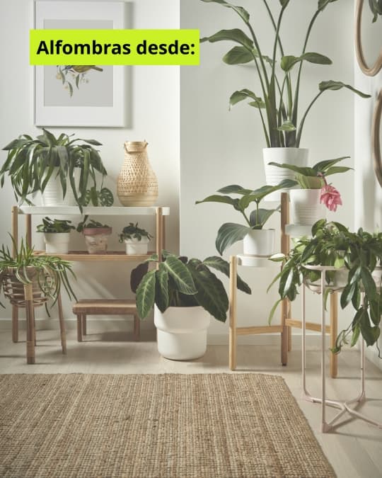 Imagen de una alfombra rodeada de plantas