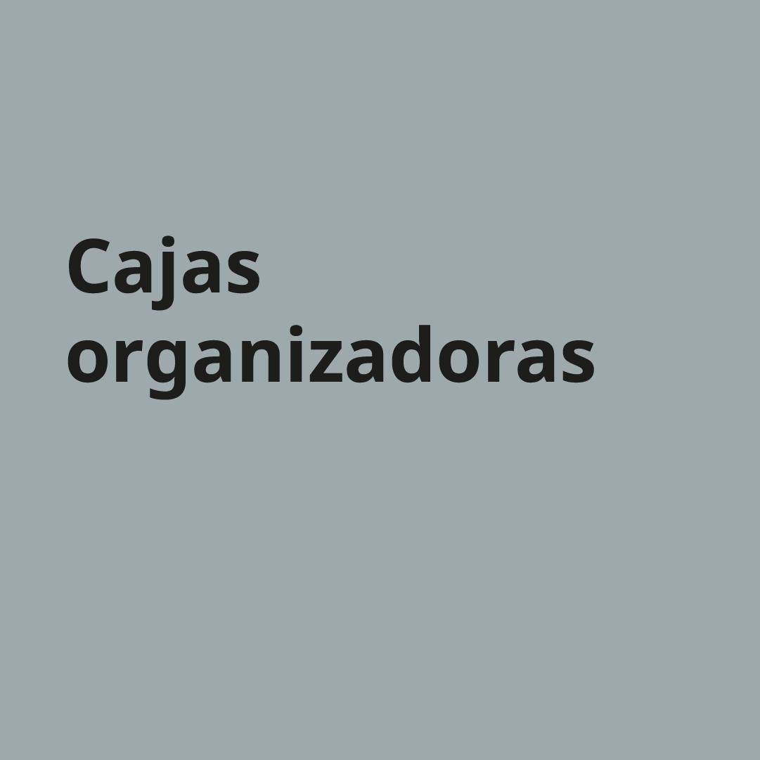 Imagen gris con palabras "Cajas organizadoras"
