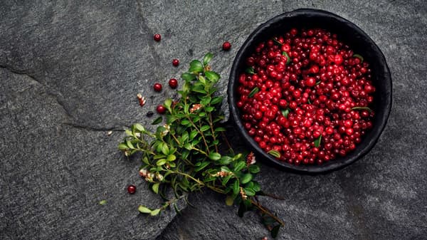 Imej lingonberi makanan organik