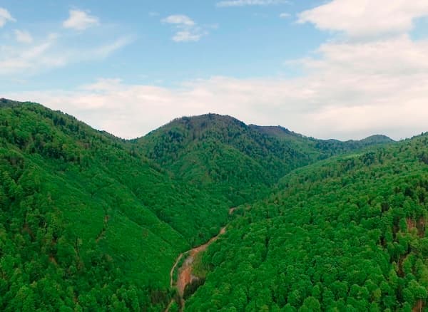In 2017, IKEA reached the goal of having 100% wood from more sustainable sources in several countries.