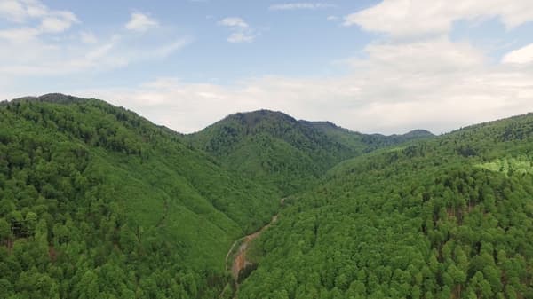 In 2017, IKEA reached the goal of having 100% wood from more sustainable sources in several countries.