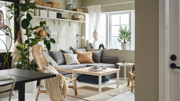 In a cozy living room are a grey HOLMSUND sofa next to a window, white open shelves above it and a rattan easy chair.