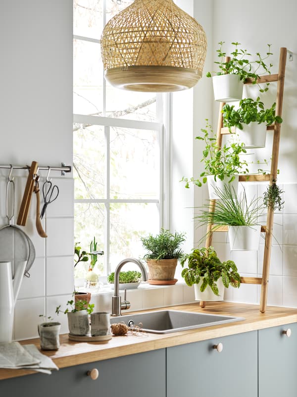 În fața unei ferestre însorite, lângă chiuveta de pe un blat de lucru de bucătărie, se află un suport pentru plante SATSUMAS plin cu plante, în fața unui perete.