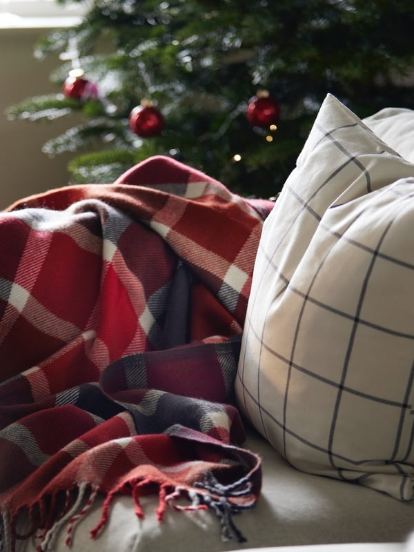 indispensables du moment