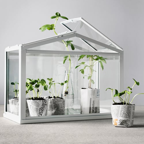 Ratgeber Indoor-Gärten: Tipps für Zimmergärten - IKEA Schweiz