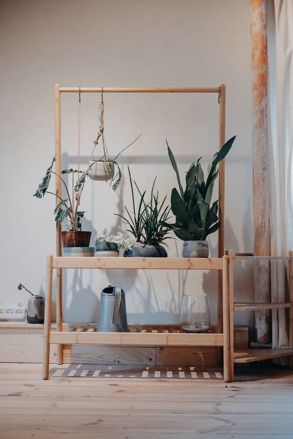 Indoor wooden plant stand with potted houseplants and a watering can in a bright living room corner.