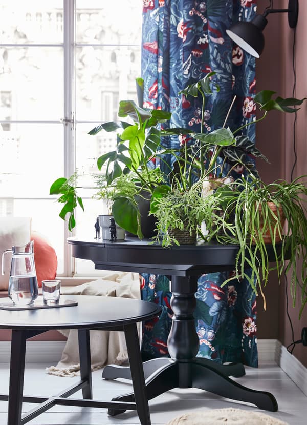 INGATORP طاولة قابلة للتمديد و KRAGSTA طاولات قهوة مدورة من ايكيا بجانب رف النافذة.