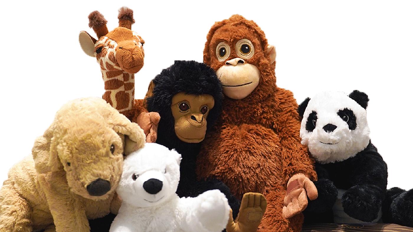 Explore all soft toys