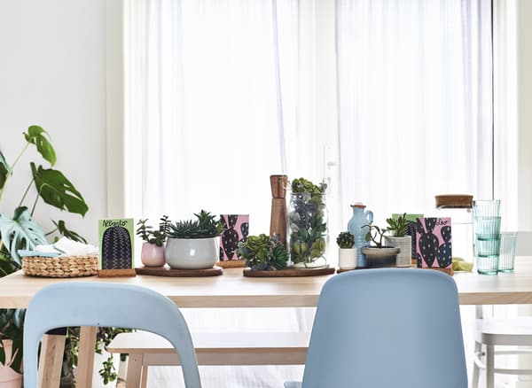 Comment décorer sa salle à manger avec des plantes ?