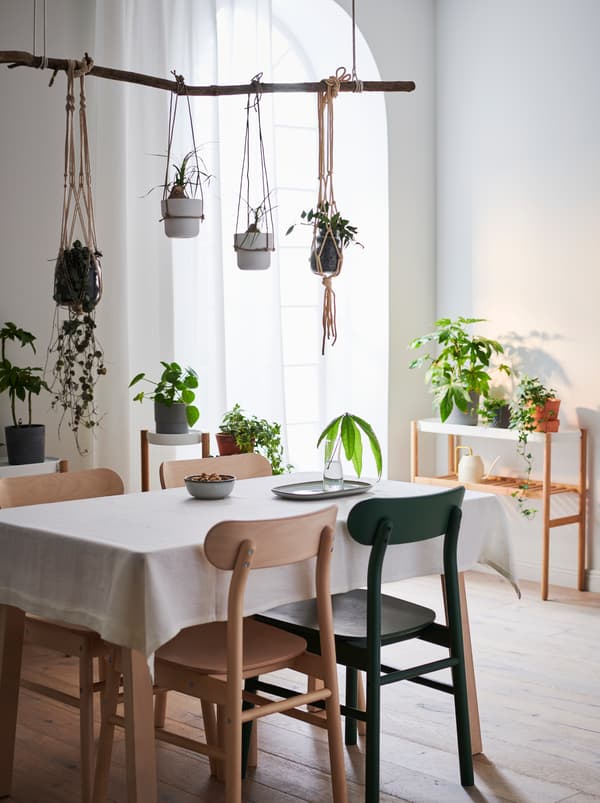 Interijer stana sa stolom i stolicama; pomoćni stol pokraj zida. Zelene su biljke na svim površinama, a neke vise čak i iznad stola.