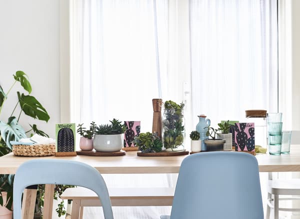 Interni bianchi con un tavolo di legno chiaro decorato con piante grasse in vaso - IKEA