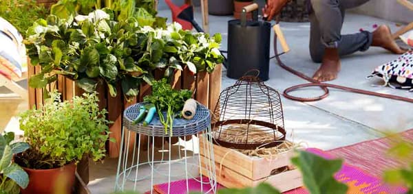 Interview: the benefits of being surrounded by plants