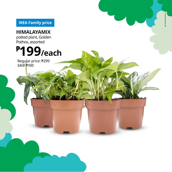 Invite nature in and allow the lush vibrant greenery to inspire you. Plants and flowers are truly wonderful roommates – so welcome a plant home and enjoy the beauty of nature!