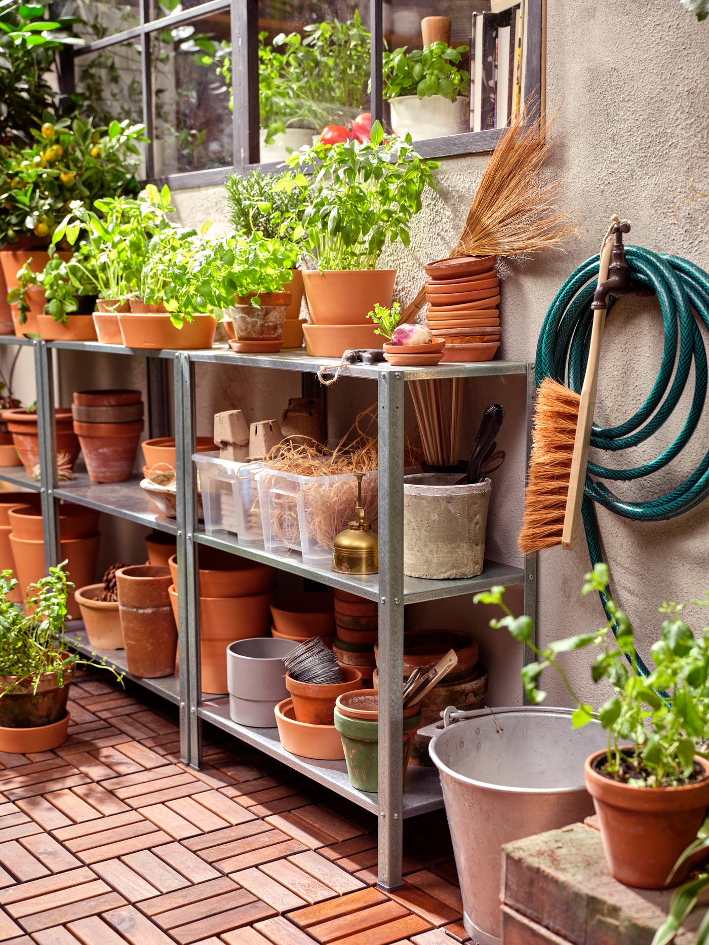 Iron outdoor shelving units filled with terracotta plant pots and plants