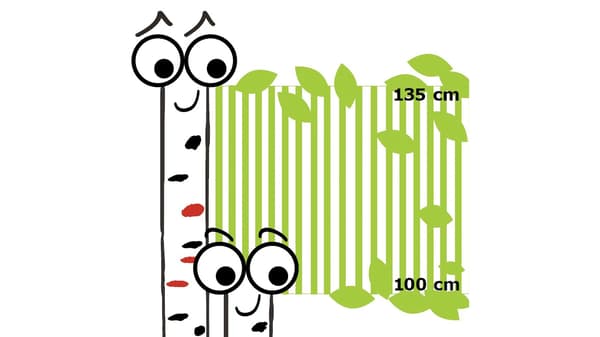 Is your child between 1m and 1,35m tall?
