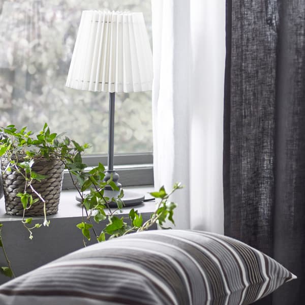 Ivy plant sits on a window sill next to a lamp
