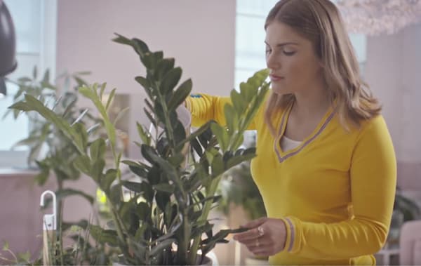 jardin d'intérieur, plantes d’intérieur, paradis de verdure, guide jardin d’intérieur, salon avec plantes, décoration plantes, guide plantes d’intérieur, plantes de salon, jardinage d’intérieur, jardinage urbain, tutoriel jardin d’intérieur, maison avec des plantes, idées IKEA