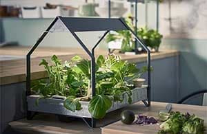 Jardinage intérieur IKEA
