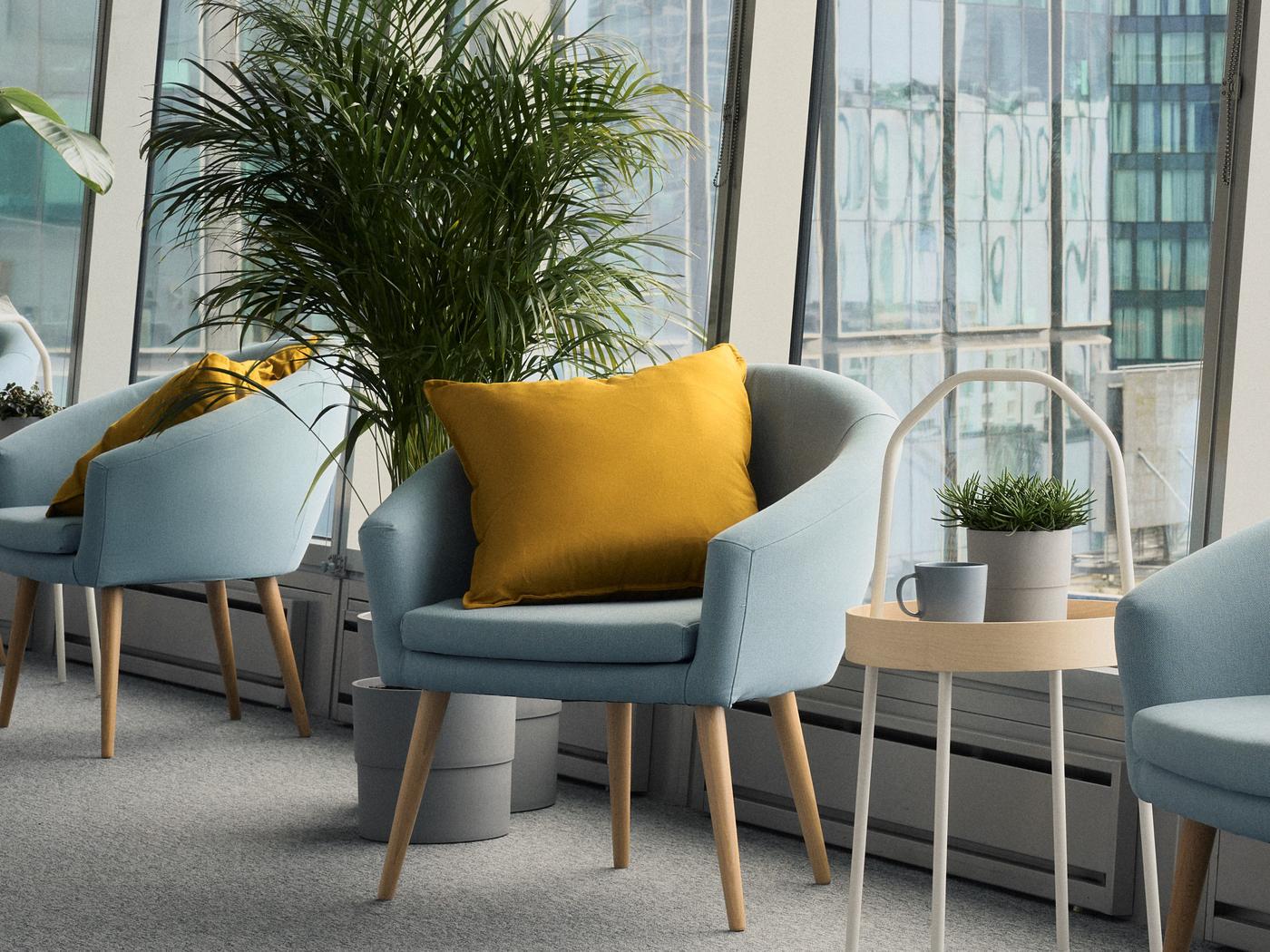 Jasnoniebieski fotel z żółtą poduszką, roślina, stolik z kubkiem i doniczką.