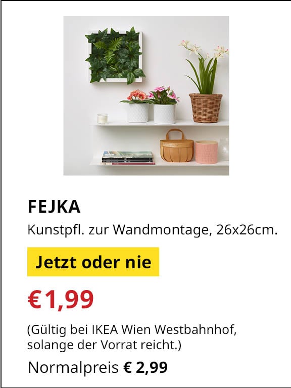 Jetzt oder Nie Angebot: FEJKA Kunstplanze um €1,99 statt €2,99.