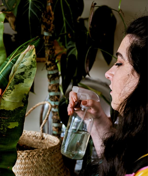Jeune femme arrosant une plante au pulvérisateur.