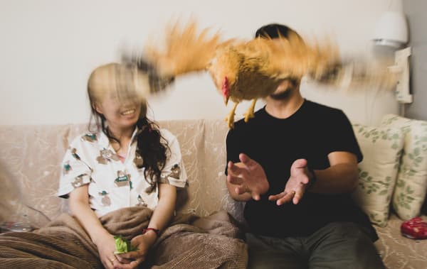 ไก่บินอยู่ตรงหน้า Jiaqin และ Gao ในห้องนั่งเล่น