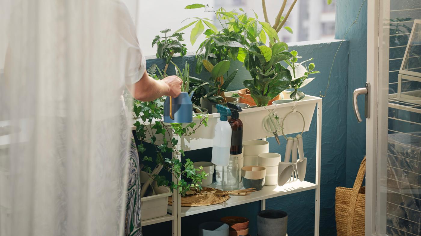 Book an appointment today