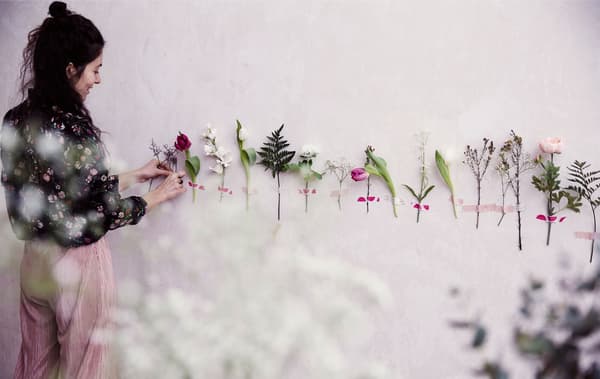 Julia tapes single flower stems in a line along a white wall.
