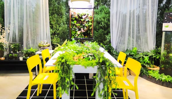 Jurong Lake Gardens Exhibition