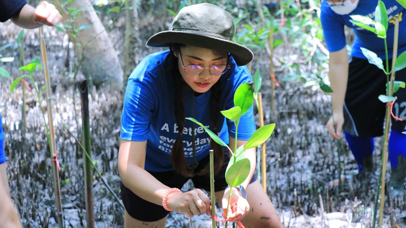 Usaha kami ke arah kehidupan harian yang lebih lestari