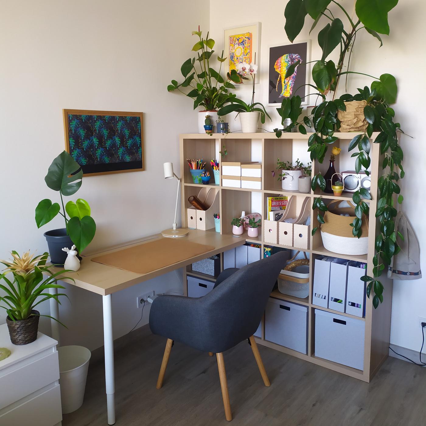 Kancelária vytvorená z policového dielu KALLAX s rozmermi 4x4 buniek v drevenom dekore. Na konci policového dielu je vytvorený pracovný stôl z dosky, ktorá má na jednom konci biele nohy na podporu, a na druhej strane je montážnou sadou upevnená o KALLAX. Policový diel je plný boxov, kníh a dekorácií, a na vrchu je hromada rastlín.