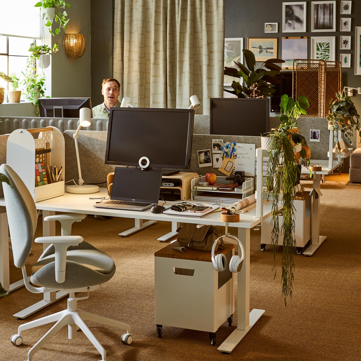 Kantoorinterieur waar zacht zonlicht naar binnen valt, met meerdere werkplekken en verschillende planten met veel bladeren, decoratie en kunst aan de muur.