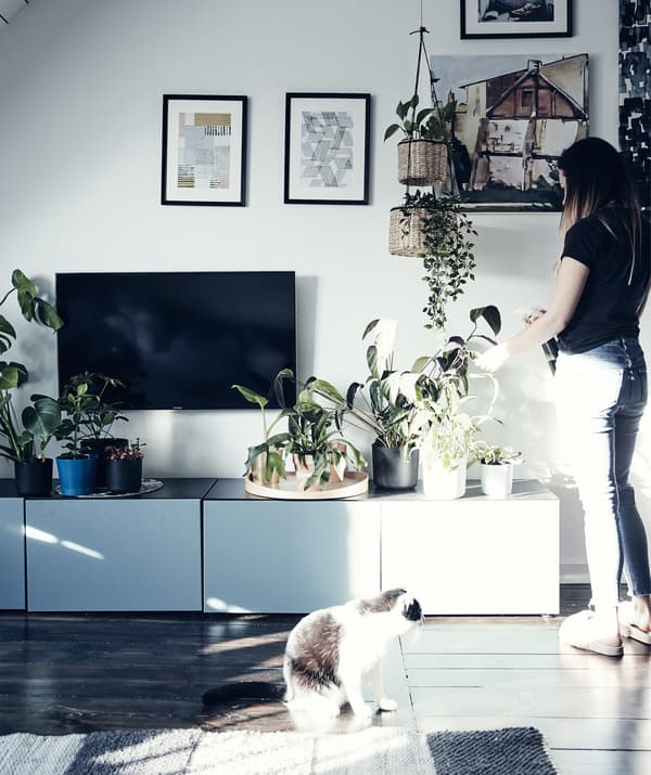 Katarzyna en train de s’occuper des plantes posées sur un meuble TV bas dans son séjour.