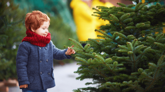 Kind in Winterkleidung berührt einen lebenden Weihnachtsbaum