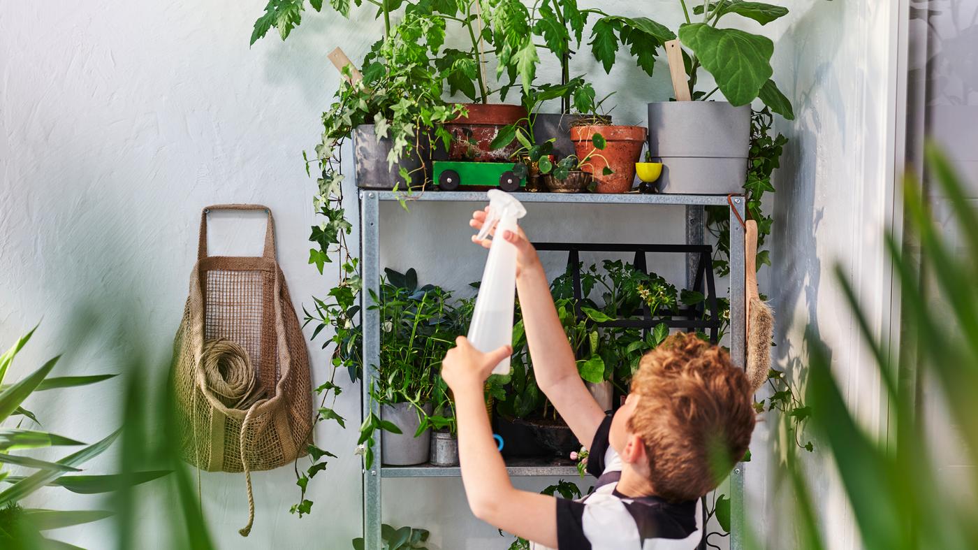 Kisgyerek áll egy cserepes növényekkel teli HYLLIS polcos elem előtt, a kezében pedig egy vízpermetezőt tart.
