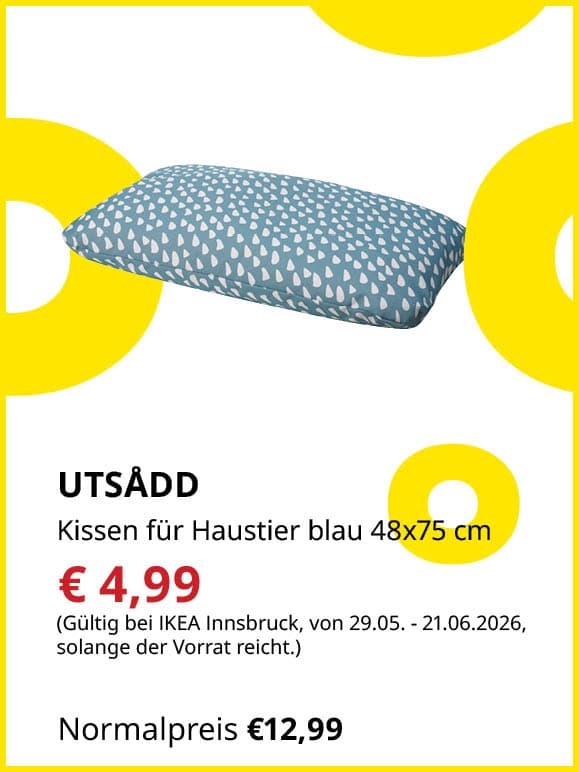 Kissen