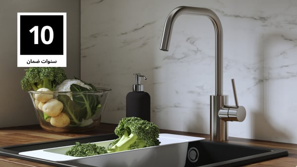 KITCHEN MIXER TAP GUARANTEE