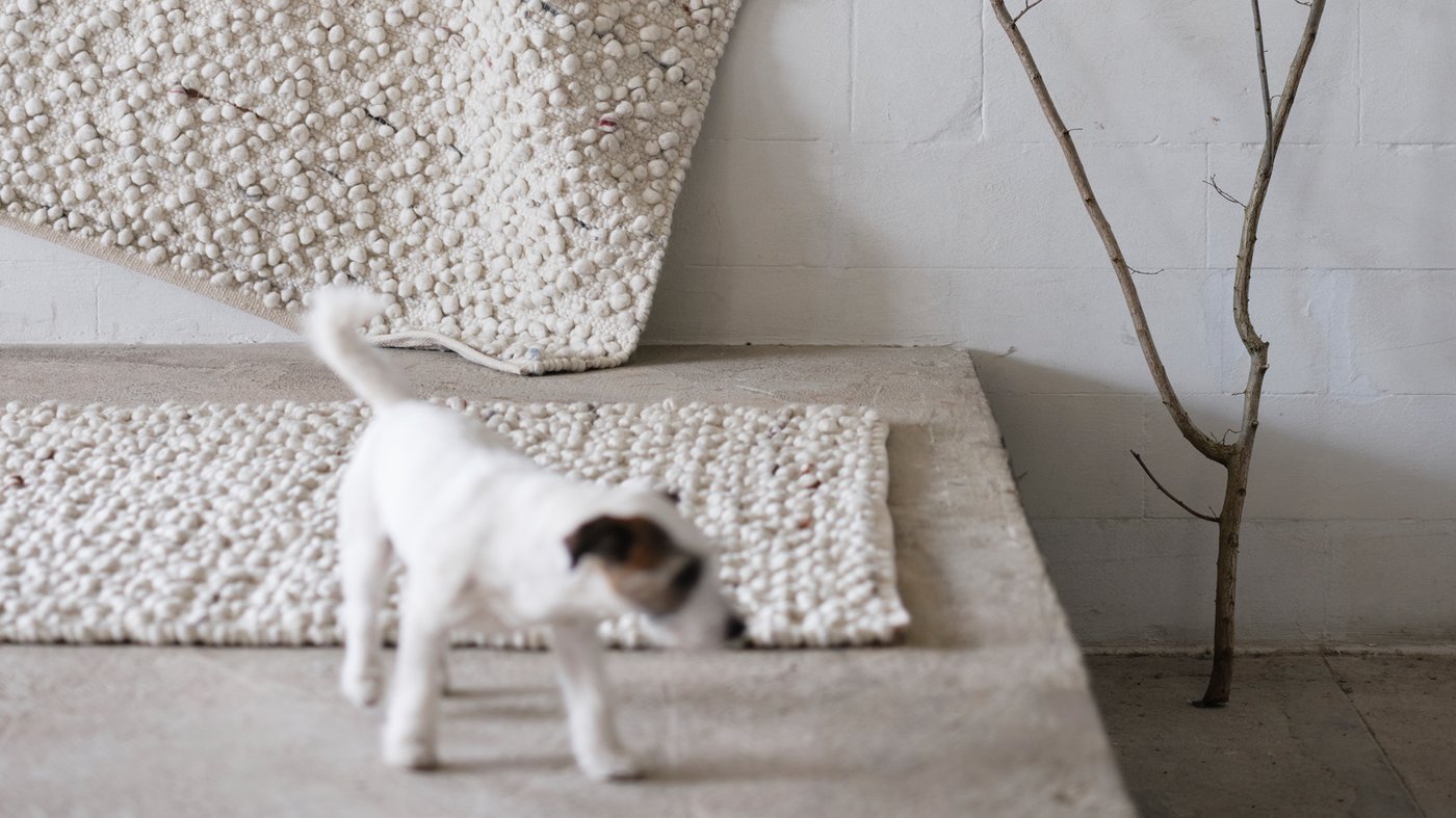 Https Www Ikea Com Ae Ar Rooms Bedroom Gallery Tkhzyn Almlabs Bashl Swrh Pub11fb40d1 Weekly 1 Https Www Ikea Com Images Ivar Whdh Rfwf Mn Khshb Alsnwbr Fy Ghrfh Nwm Ma Alkthyr Mn A 41228f6ee6ec0438d100f786c15bfc8f Jpg Ivar وحدة رفوف Https Www Ikea Com Ae Ar Rooms Bedroom Gallery Tkhzyn Almlabs Bashl Swrh Pub11fb40d1 Weekly 1 Https Www Ikea Com Images Ivar Whdh Rfwf Mn Khshb Alsnwbr Fy Ghrfh Nwm Ma Alkthyr Mn A 41228f6ee6ec0438d100f786c15bfc8f Jpg Ivar وحدة رفوف