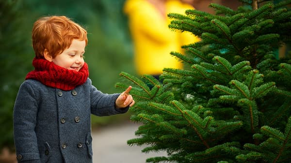 Kleiner Junge berührt einen Weihnachtsbaum