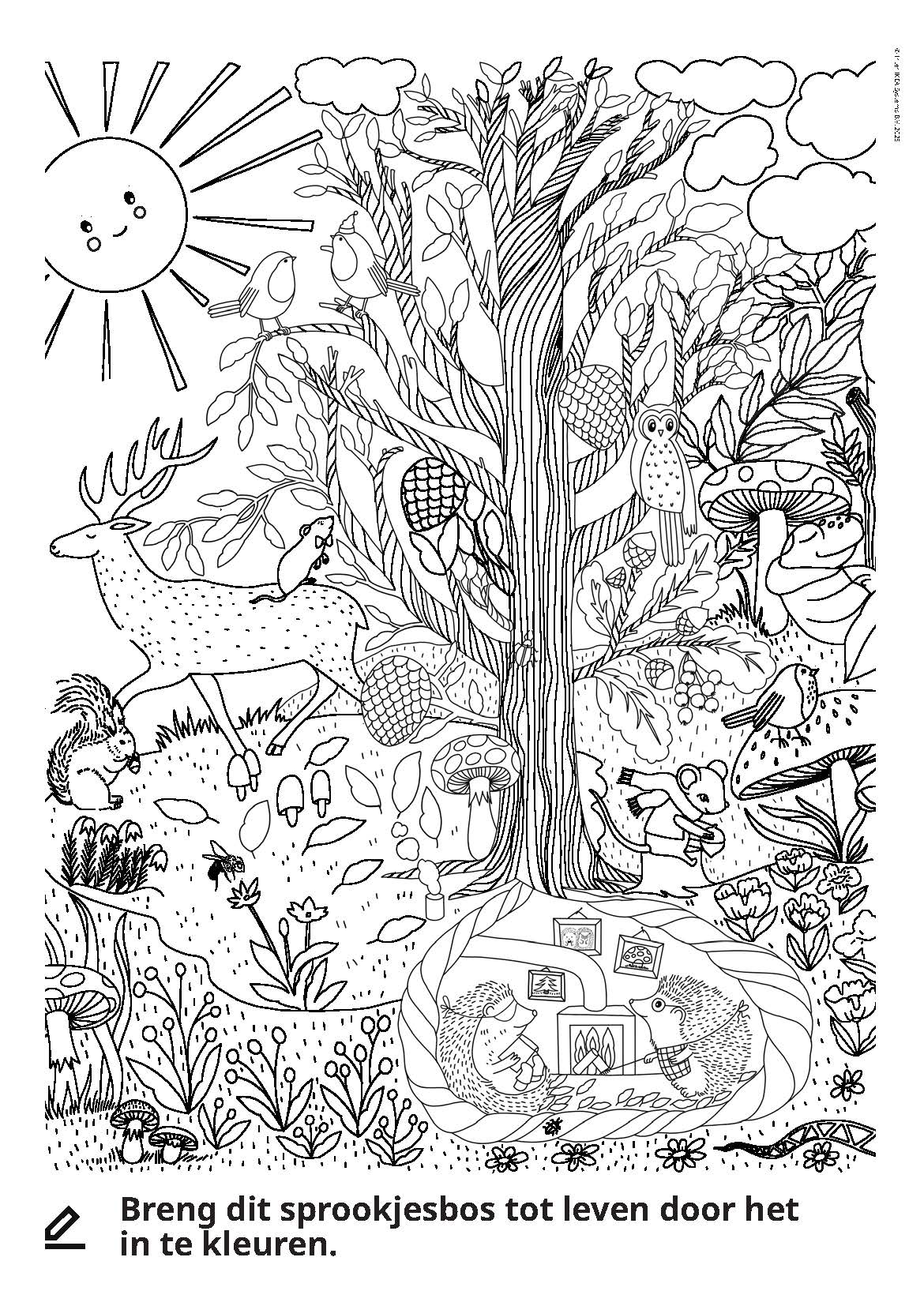 Kleurenplaat van een bos