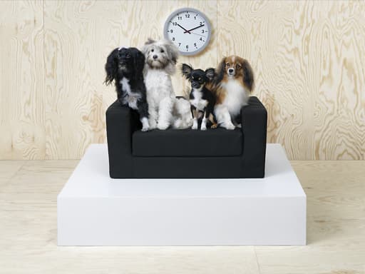 ikea pet friendly sofa