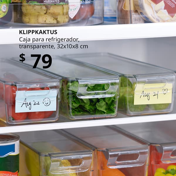 KLIPPKAKTUS