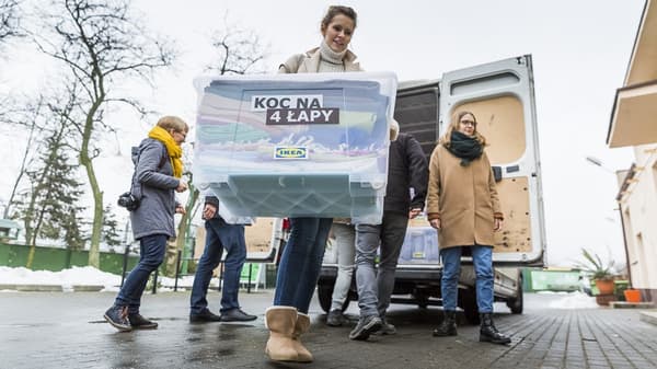 koce dla schroniska przy ul. Bukowskiej w Poznaniu