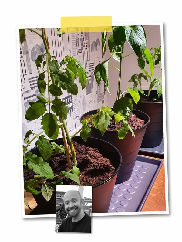 Koláž se dvěma obrázky: prospívající zelené rostliny v černých koších FNISS na podložách na boty BAGGMUCK a fotografie zaměstnance IKEA.
