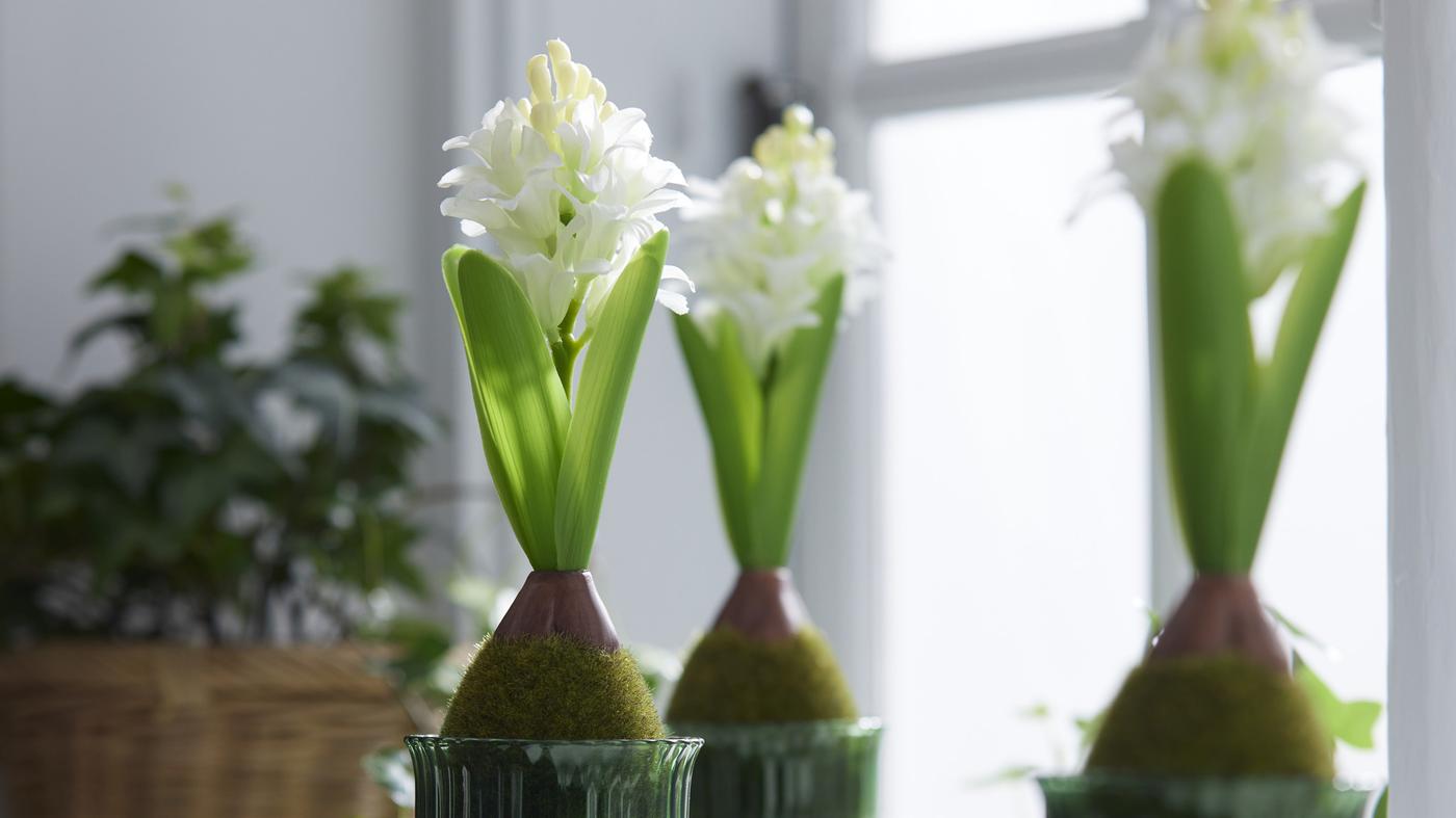 Kipin kapin ostoksille