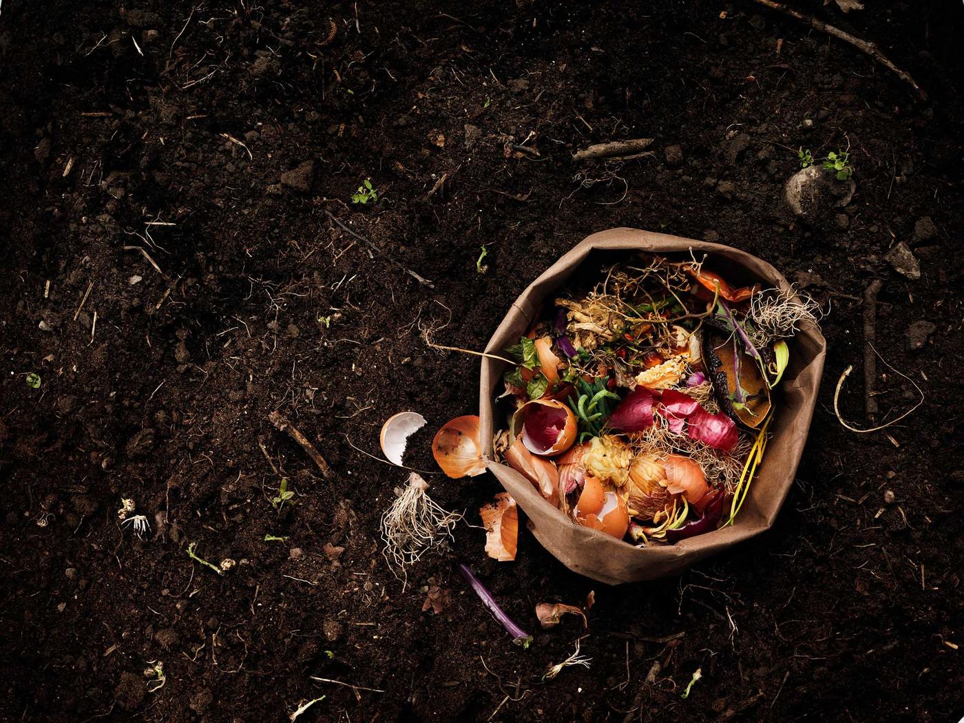 Komposzt tetején egy papírzacskónyi szerves konyhai hulladék.