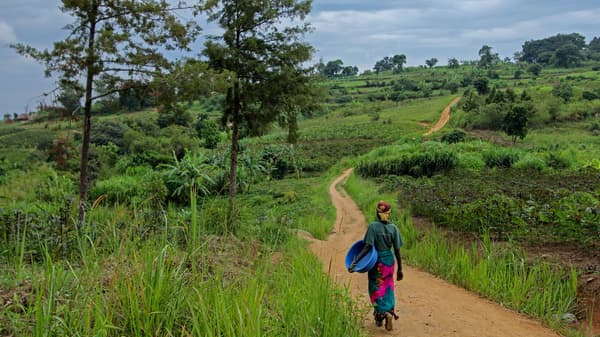 Kosarat hordozó nő egy hosszú úton, Ugandában.